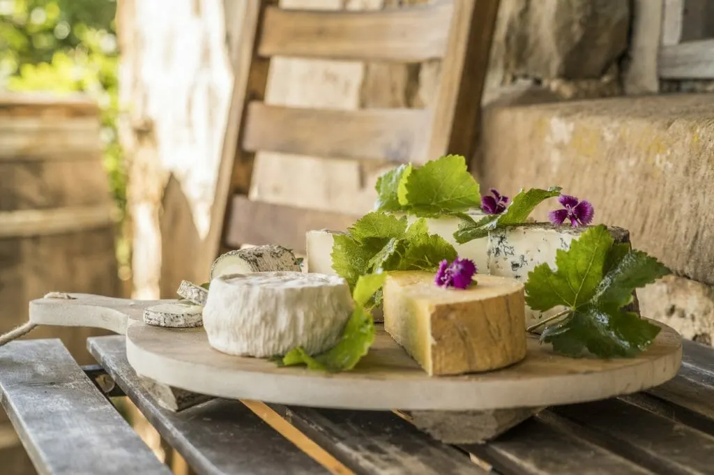 Food and wine available to enjoy on the scenic grounds of Cupitt's Winery, Ulladulla.