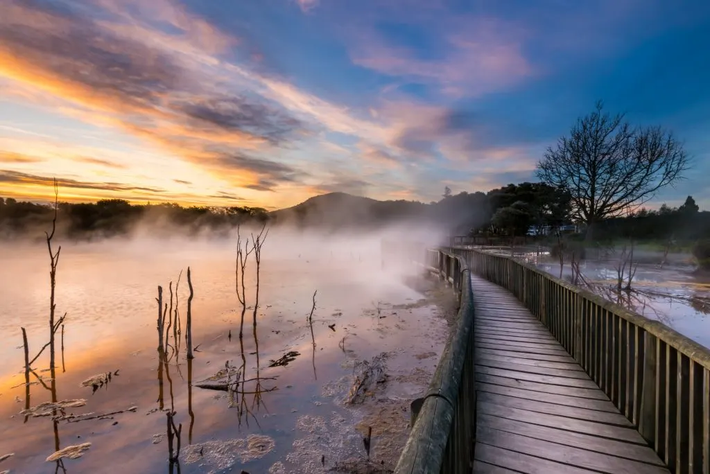 Kuirau Park Rotorua New Zealand