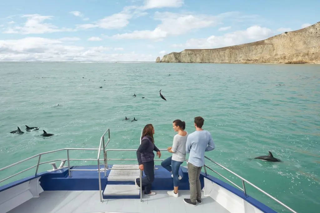 three people on boat in ocean with dolpins
