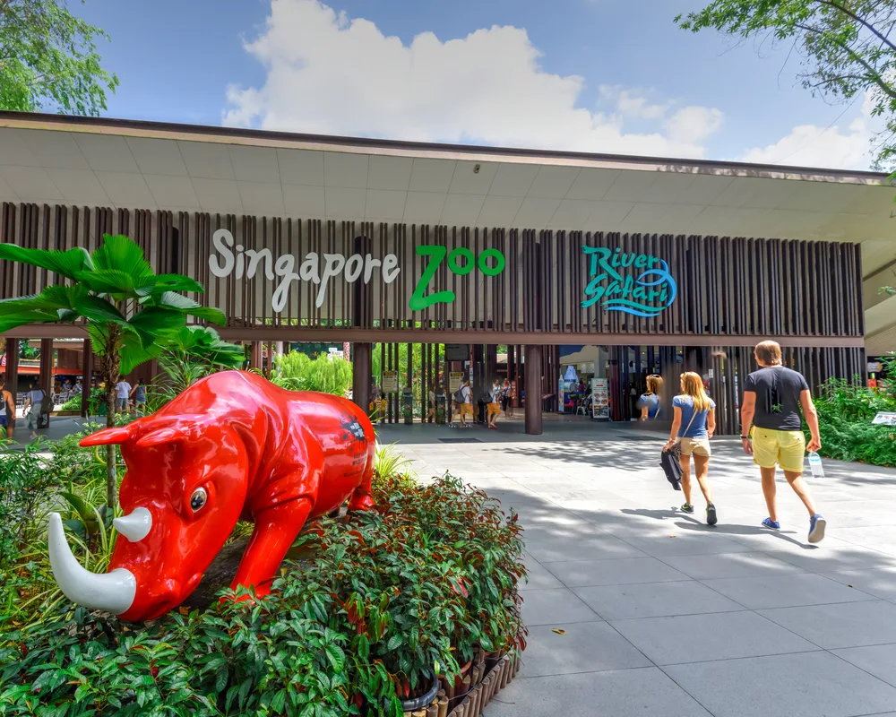 Rhino at front of singapore zoo