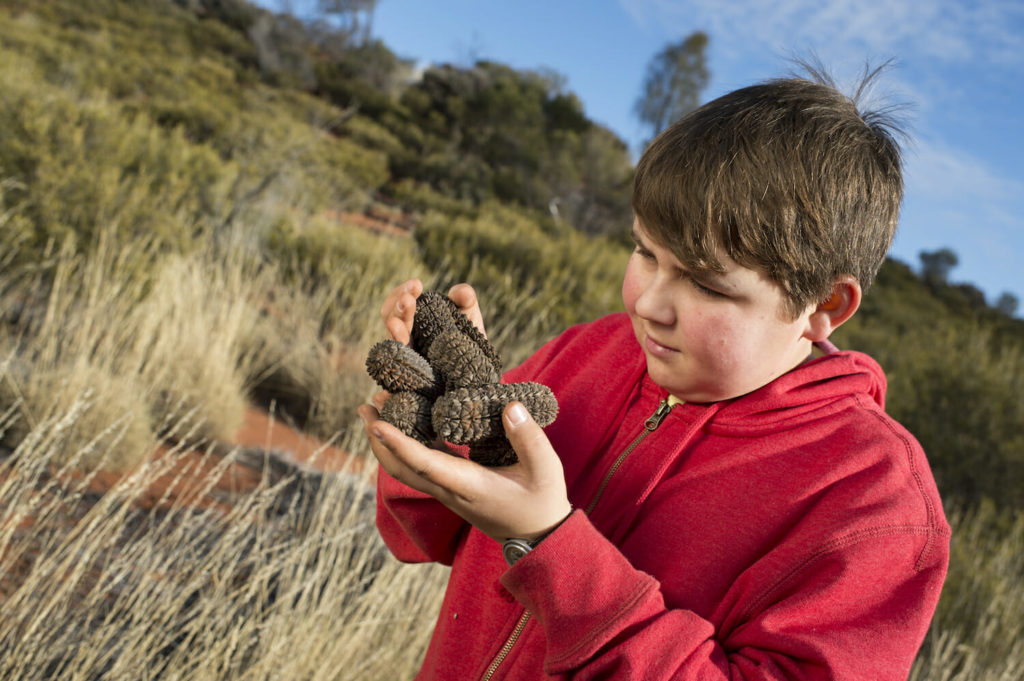 Alice Springs family holiday