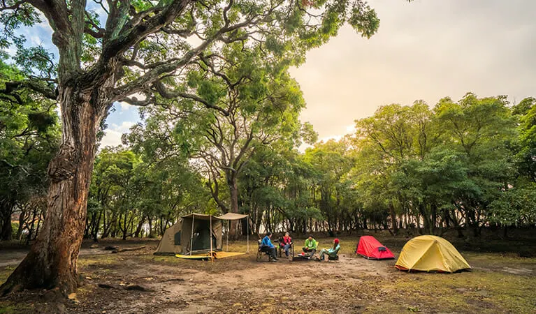 South Coast camping