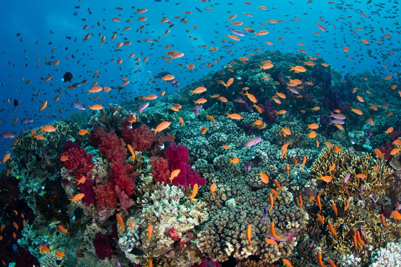 Virgin's top 10 summer travel destinations