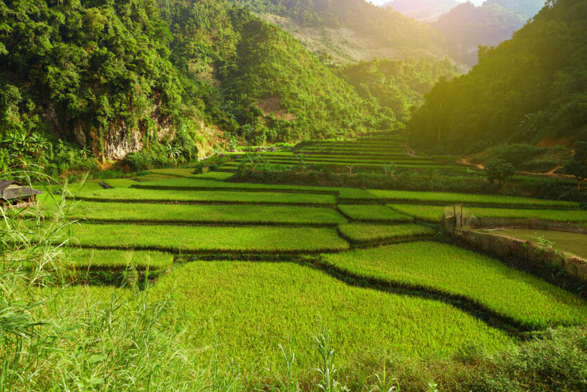 The 6 best places to go in Vietnam with kids - Family Travel