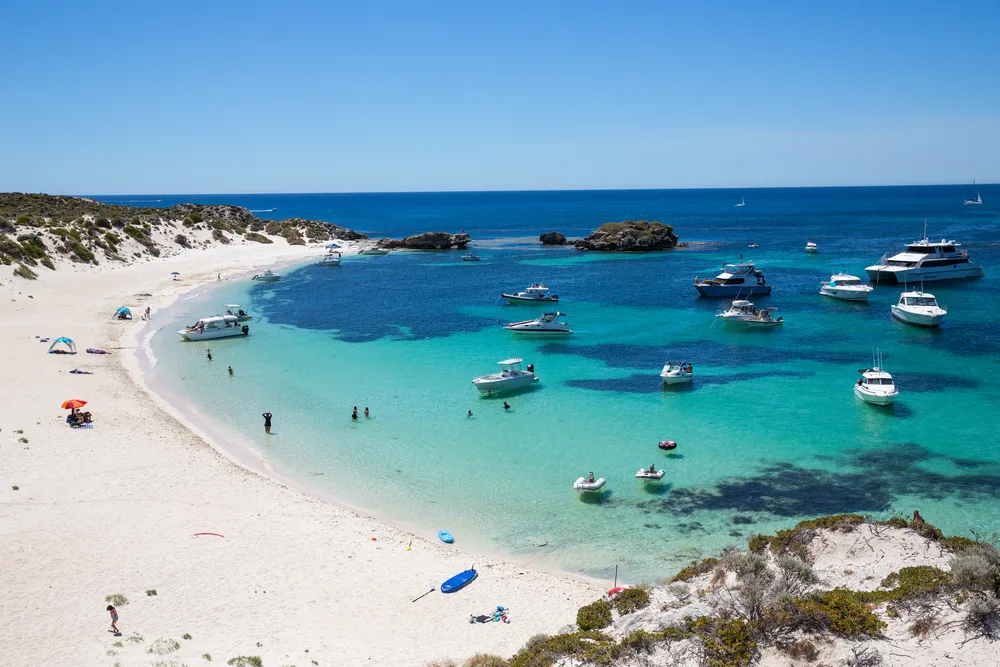 Where to see Australia animals