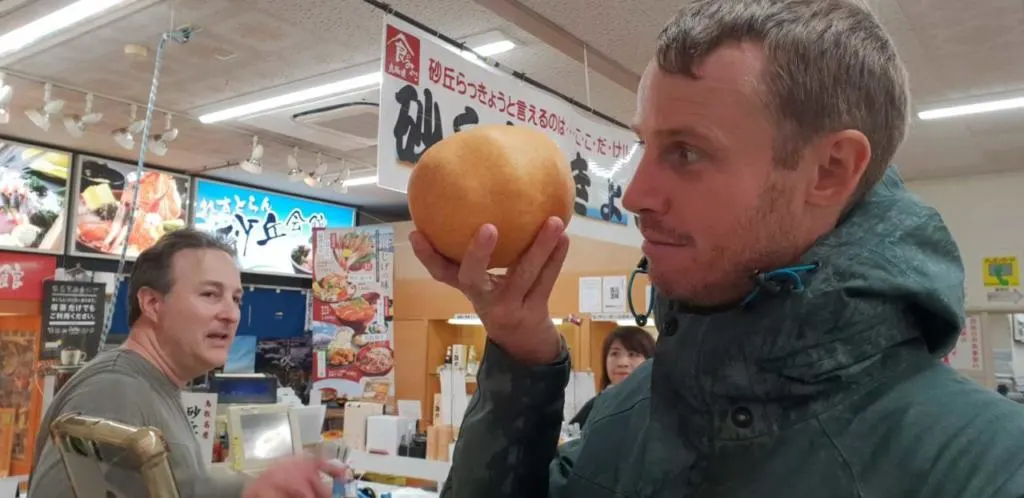 Japan pear