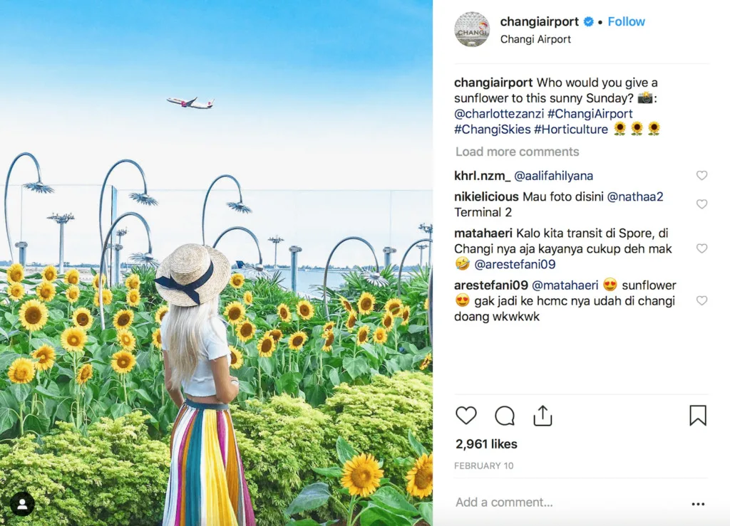 Sunflower Garden at Changi Airport Singapore