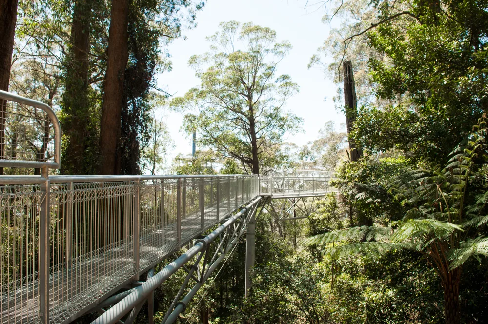 things to do in Kiama, South Coast NSW
