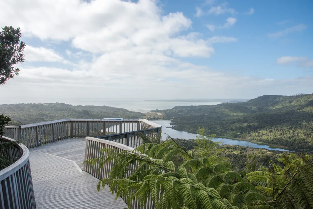 Waitakere Ranges New Zealand