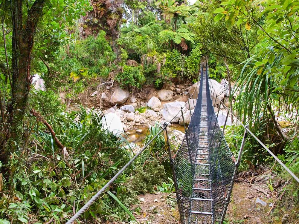 Swing bridge on the Heaphy Track in Kahurangi National Park