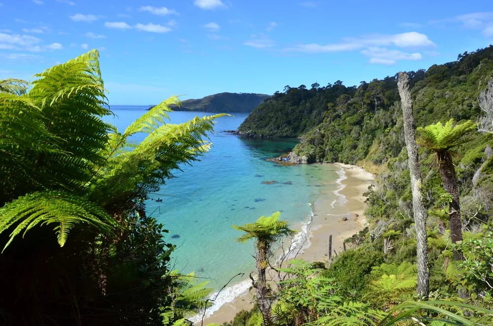 Rakiura Track New Zealand walks