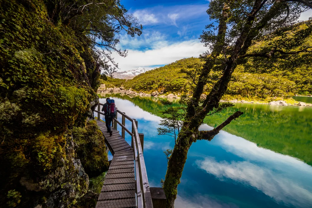 New Zealand Walks