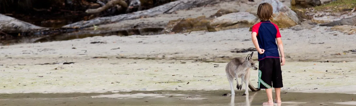 boy with kangaroo on the beach at Green Patch, Jervis Bay