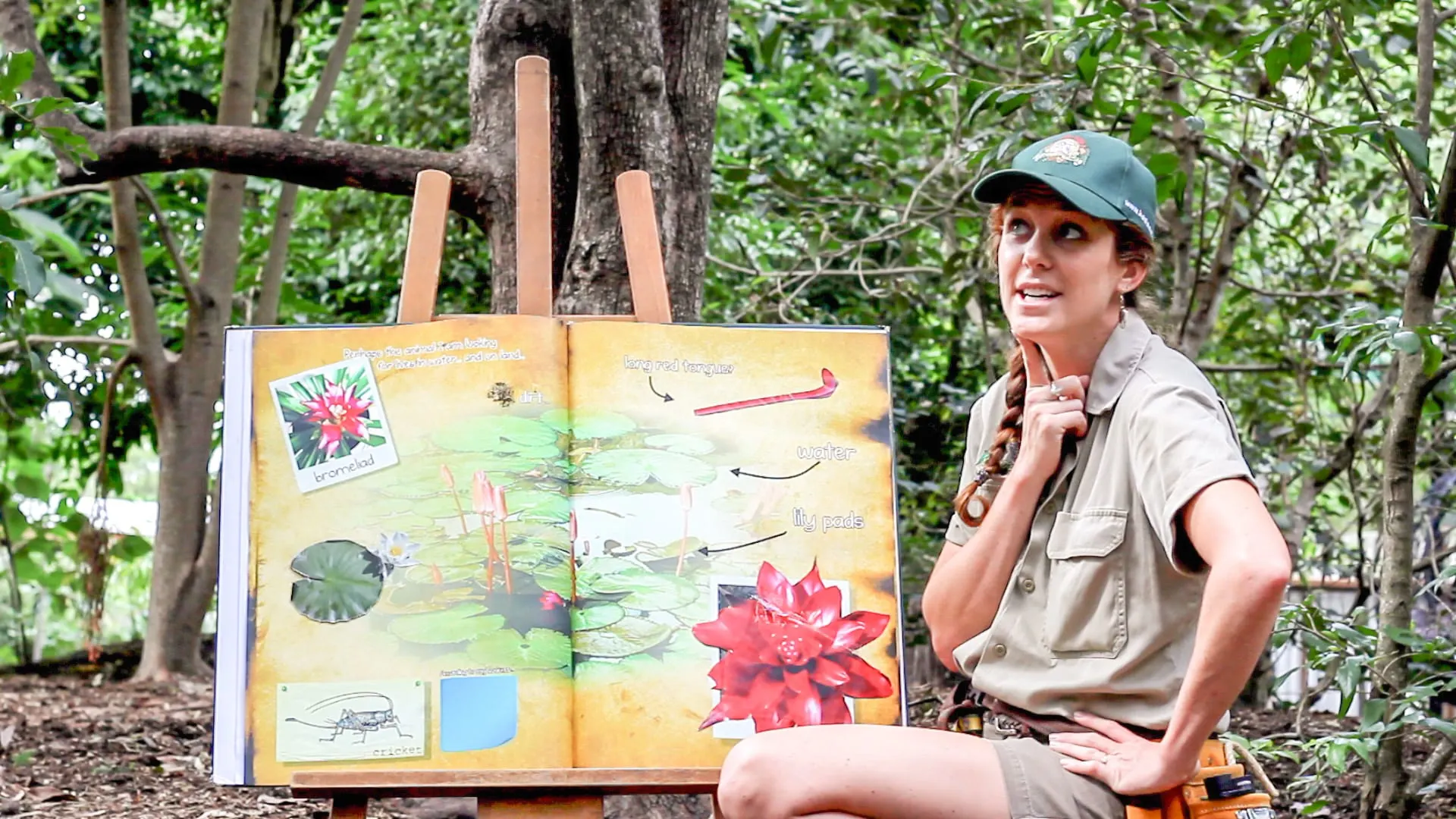 Lone Pine Koala Sanctuary’s online education programs