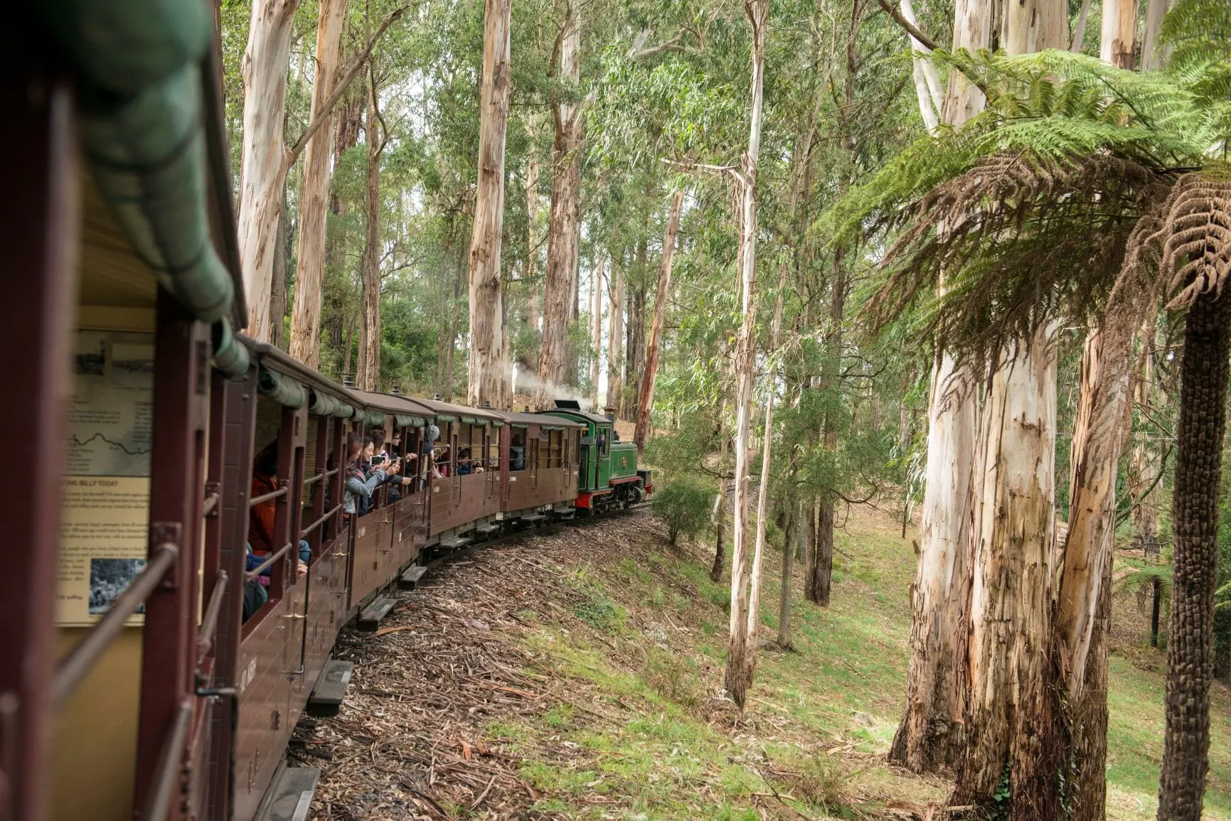 Where to spot PUFFING BILLY, Victoria - Camps Australia Wide